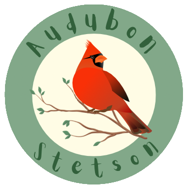 audubon stetson logo
